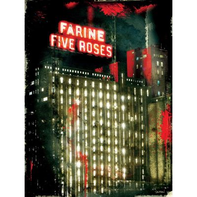 FARINE FIVE ROSES 1 FARINE FIVE ROSES