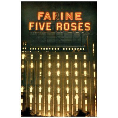 FARINE FIVE ROSES 2012 - brun 1 FARINE FIVE ROSES 2012 - brun