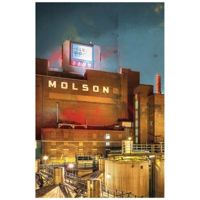 MOLSON 2016 1 1 MOLSON 2016 1